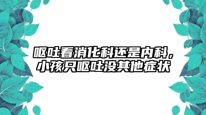 嘔吐看消化科還是內(nèi)科，小孩只嘔吐沒其他癥狀