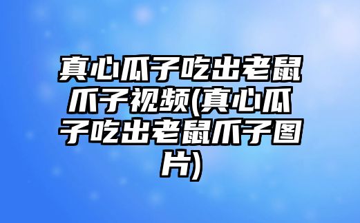 真心瓜子吃出老鼠爪子視頻(真心瓜子吃出老鼠爪子圖片)