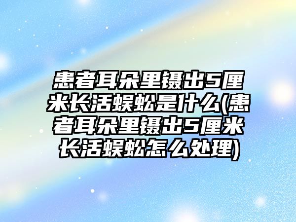 患者耳朵里鑷出5厘米長(zhǎng)活蜈蚣是什么(患者耳朵里鑷出5厘米長(zhǎng)活蜈蚣怎么處理)