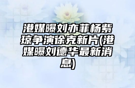 港媒曝劉亦菲楊紫瓊爭演徐克新片(港媒曝劉德華最新消息)