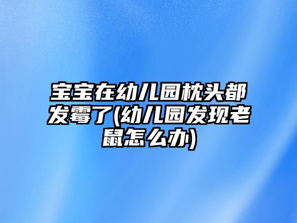 寶寶在幼兒園枕頭都發(fā)霉了(幼兒園發(fā)現(xiàn)老鼠怎么辦)