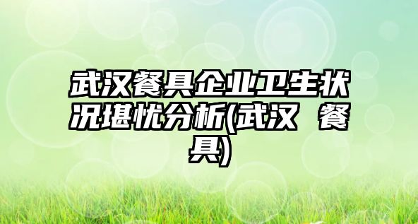 武漢餐具企業(yè)衛(wèi)生狀況堪憂分析(武漢 餐具)