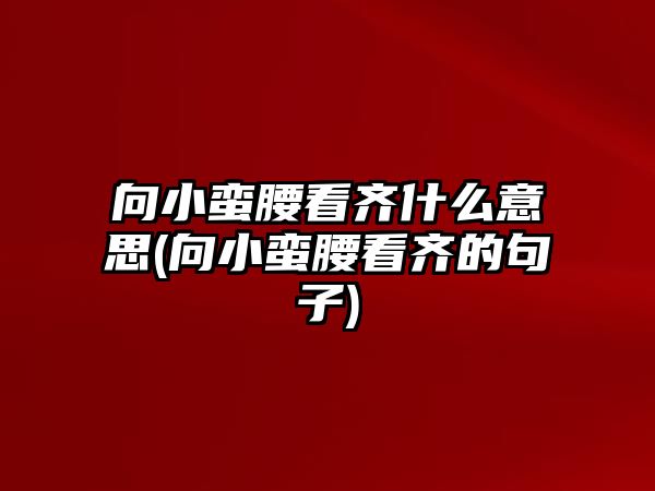 向小蠻腰看齊什么意思(向小蠻腰看齊的句子)