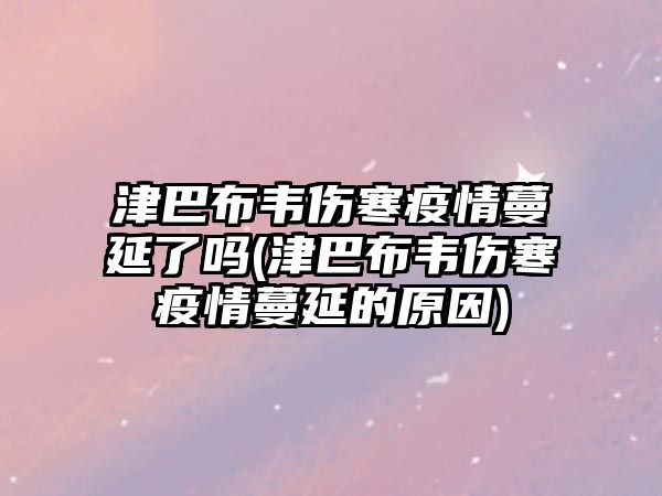 津巴布韋傷寒疫情蔓延了嗎(津巴布韋傷寒疫情蔓延的原因)