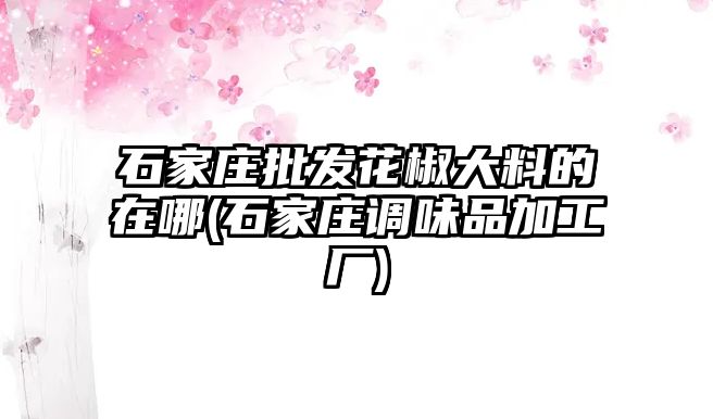 石家莊批發(fā)花椒大料的在哪(石家莊調(diào)味品加工廠)