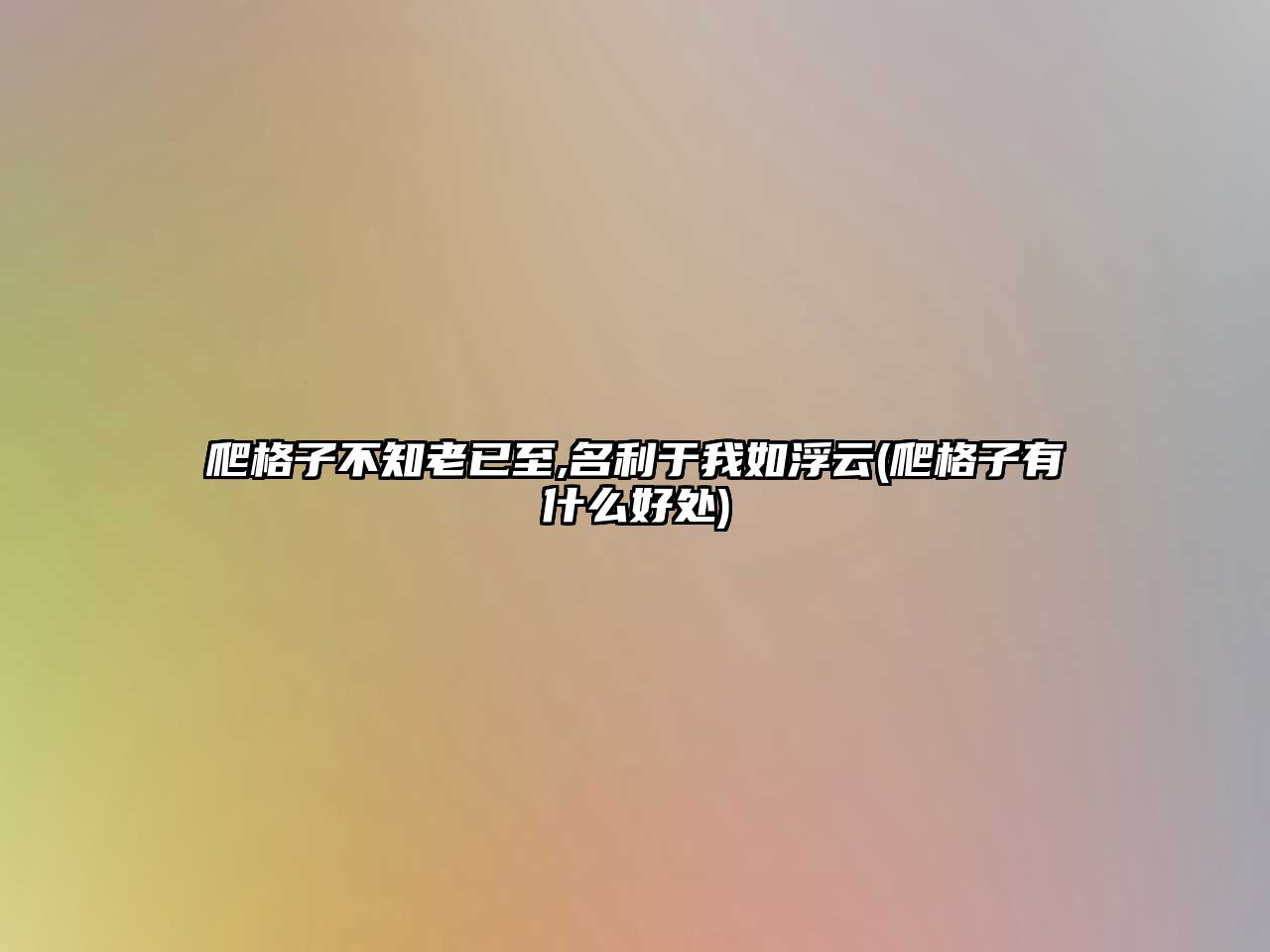 爬格子不知老已至,名利于我如浮云(爬格子有什么好處)