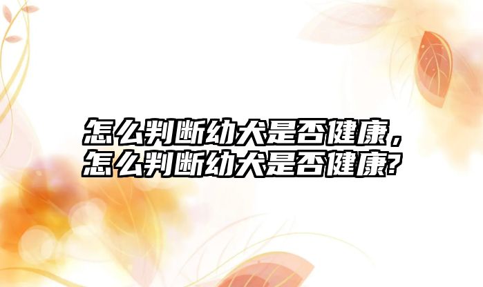 怎么判斷幼犬是否健康，怎么判斷幼犬是否健康?