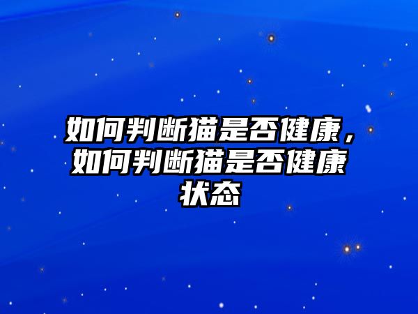 如何判斷貓是否健康，如何判斷貓是否健康狀態(tài)