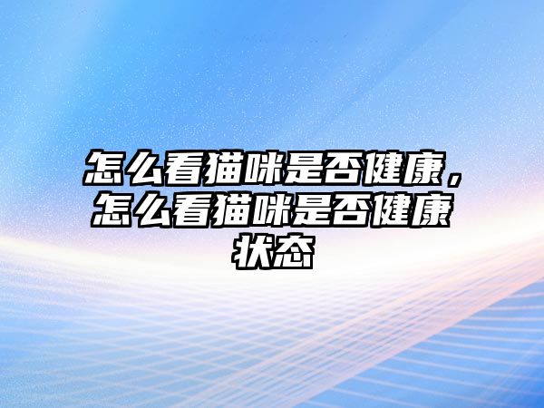 怎么看貓咪是否健康，怎么看貓咪是否健康狀態(tài)