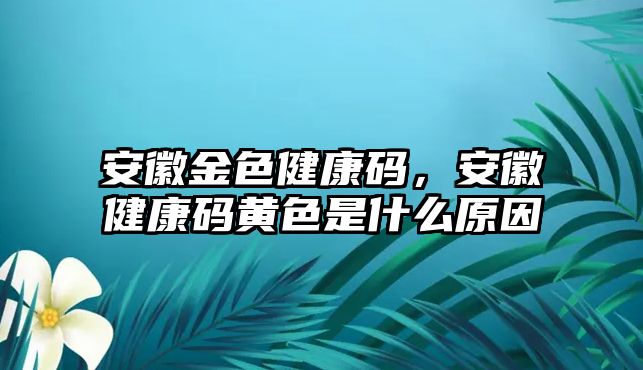 安徽金色健康碼，安徽健康碼黃色是什么原因