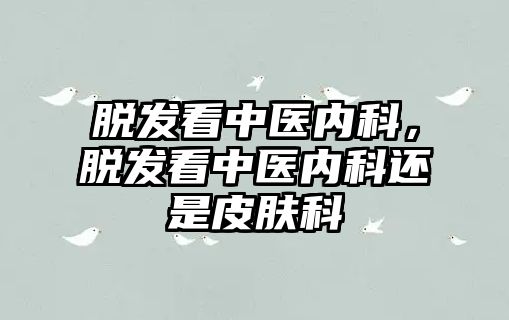 脫發(fā)看中醫(yī)內(nèi)科，脫發(fā)看中醫(yī)內(nèi)科還是皮膚科