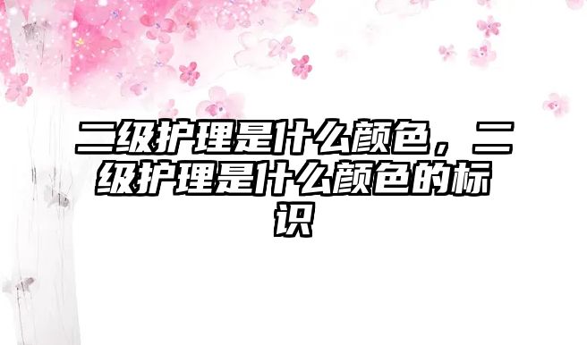 二級(jí)護(hù)理是什么顏色，二級(jí)護(hù)理是什么顏色的標(biāo)識(shí)